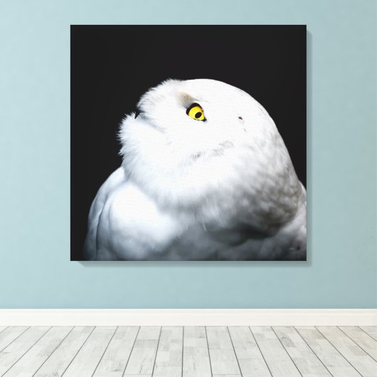 Winter White Snowy Owl Canvas Afdruk (Insitu (Houten vloer))