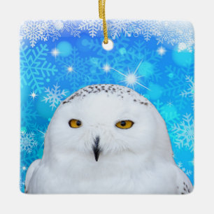 Winter White Snowy Owl Keramisch Ornament