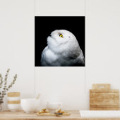 Winter White Snowy Owl Poster (Keuken)