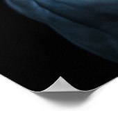 Winter White Snowy Owl Poster (Hoek)