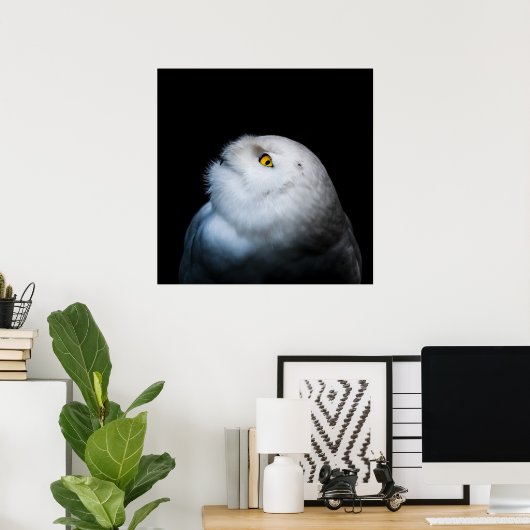 Winter White Snowy Owl Poster (Thuiskantoor)