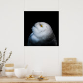 Winter White Snowy Owl Poster (Keuken)