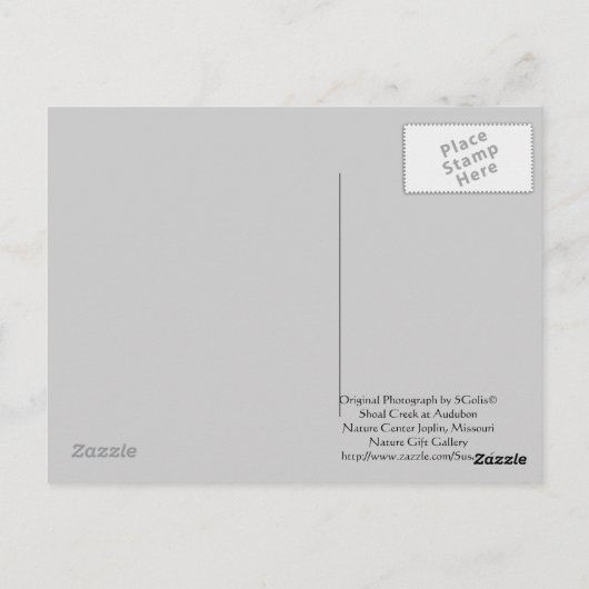 Winter White Water Missouri Briefkaart (Achterkant)