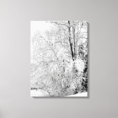 Winter Whites Canvas Afdruk (Voorkant)