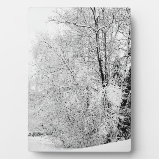 Winter Whites Fotoplaat (voorkant)