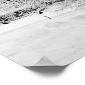 Winter Whites Print (Hoek)