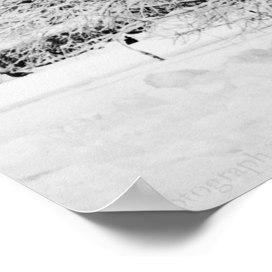 Winter Whites Print (Hoek)