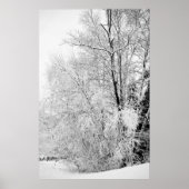 Winter Whites Print (Voorkant)