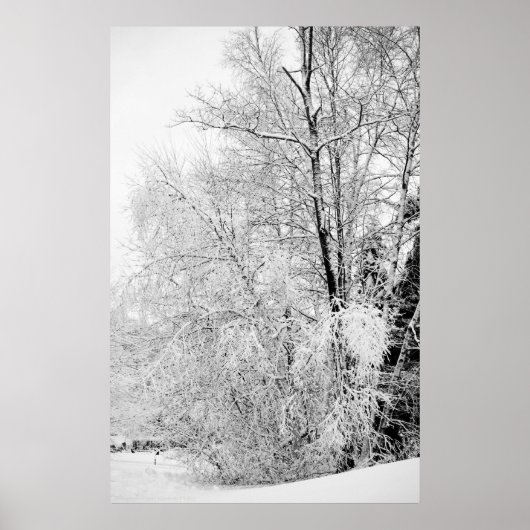 Winter Whites Print (Voorkant)