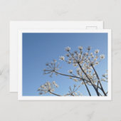 Winter Wildbloemen Briefkaart (Voorkant / Achterkant)