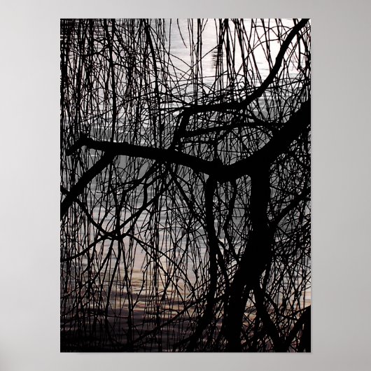 WINTER WILGENBOOM POSTER (Voorkant)