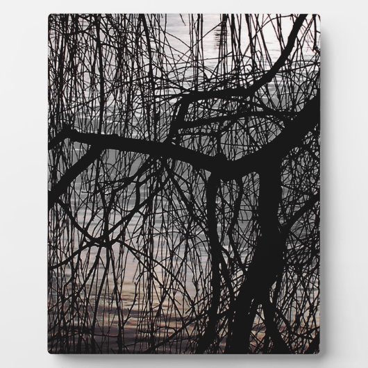 WINTER WILLOW TREE FOTOPLAAT (Voorkant)