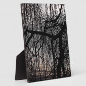 WINTER WILLOW TREE FOTOPLAAT (Zijkant)