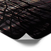 WINTER WILLOW TREE POSTER (Hoek)