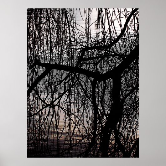 WINTER WILLOW TREE POSTER (Voorkant)