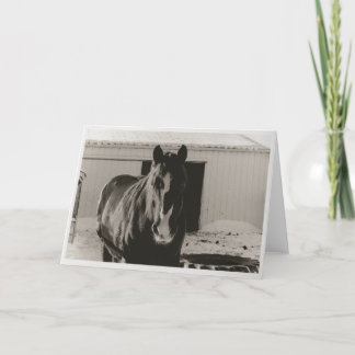 Winter Willy Feestdagen Kaart