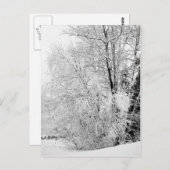 Winter wit Briefkaart (Voorkant / Achterkant)