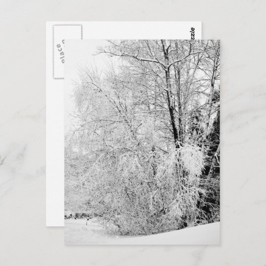 Winter wit Briefkaart (Voorkant / Achterkant)