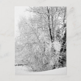 Winter wit Briefkaart