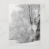 Winter wit Briefkaart (Voorkant)