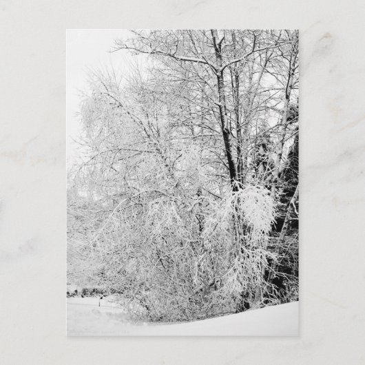 Winter wit Briefkaart (Voorkant)