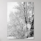 Winter Wits Print (Voorkant)