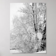 Winter Wits Print