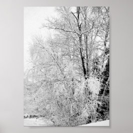 Winter Wits Print