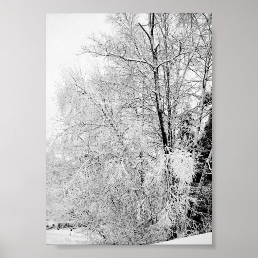 Winter Wits Print (Voorkant)