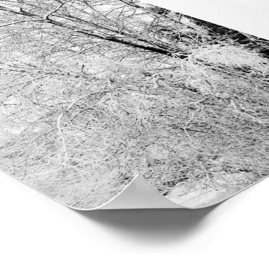 Winter Wits Print (Hoek)