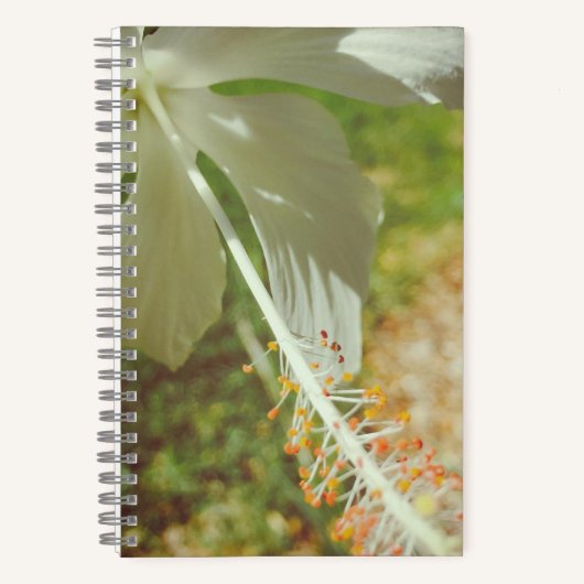 Winter Witte Hibiscus Notitieboek (Voorkant)