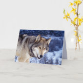 Winter Wolf 2 Kaart (Gele Bloem)