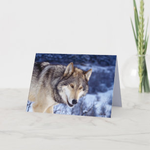 Winter Wolf 2 Kaart