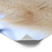 Winter Wolf 2 Poster (Hoek)