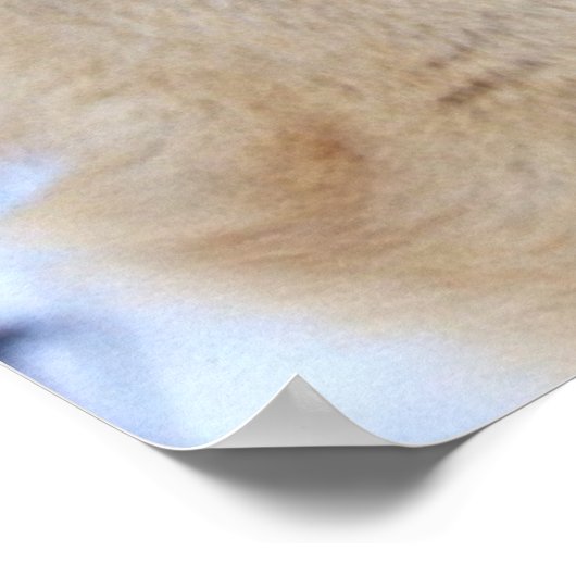 Winter Wolf 2 Poster (Hoek)