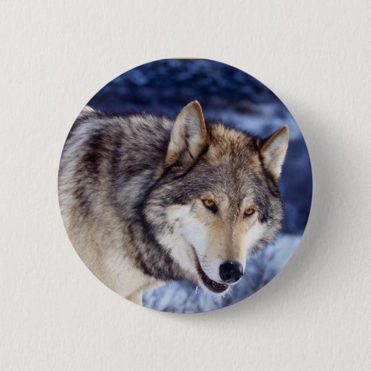 Winter Wolf 2 Ronde Button 5,7 Cm (Voorkant)