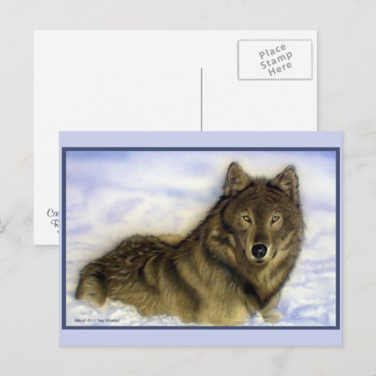 Winter Wolf Briefkaart (Voorkant / Achterkant)