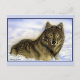 Winter Wolf Briefkaart
