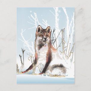 Winter Wolf Briefkaart