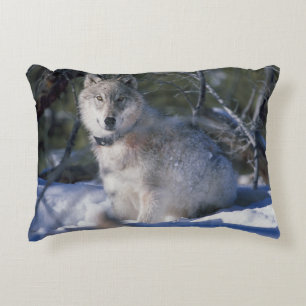 Winter Wolf Decoratief Kussen