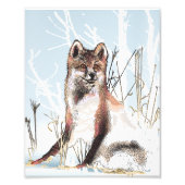 Winter Wolf Foto Afdruk (Voorkant)