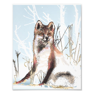 Winter Wolf Foto Afdruk