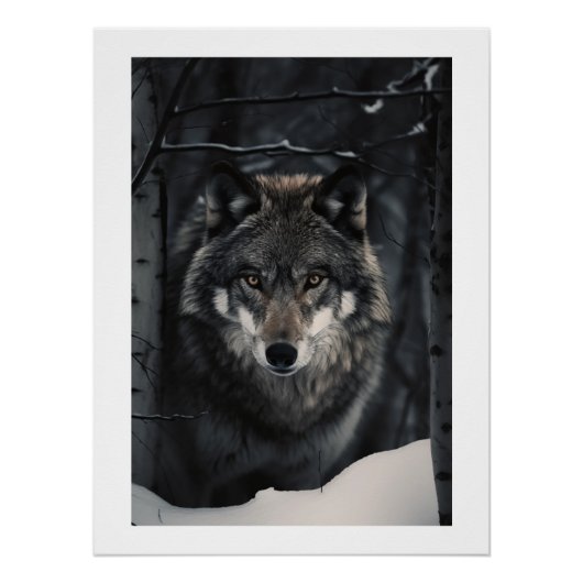 Winter Wolf Gaze Poster (Voorkant)