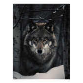 Winter Wolf Gaze Poster (Voorkant)