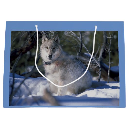 Winter Wolf Groot Cadeauzakje (Voorkant)