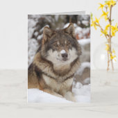 Winter Wolf Kaart (Gele Bloem)