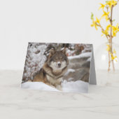 Winter Wolf Kaart (Gele Bloem)