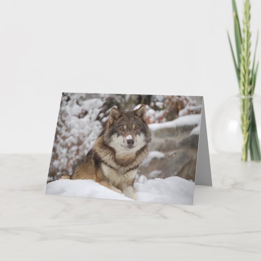 Winter Wolf Kaart (Voorkant)