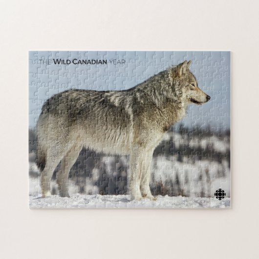 Winter - Wolf Legpuzzel (Horizontaal)