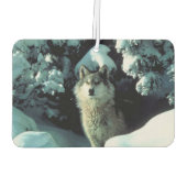Winter Wolf Luchtverfrisser (Achterkant)